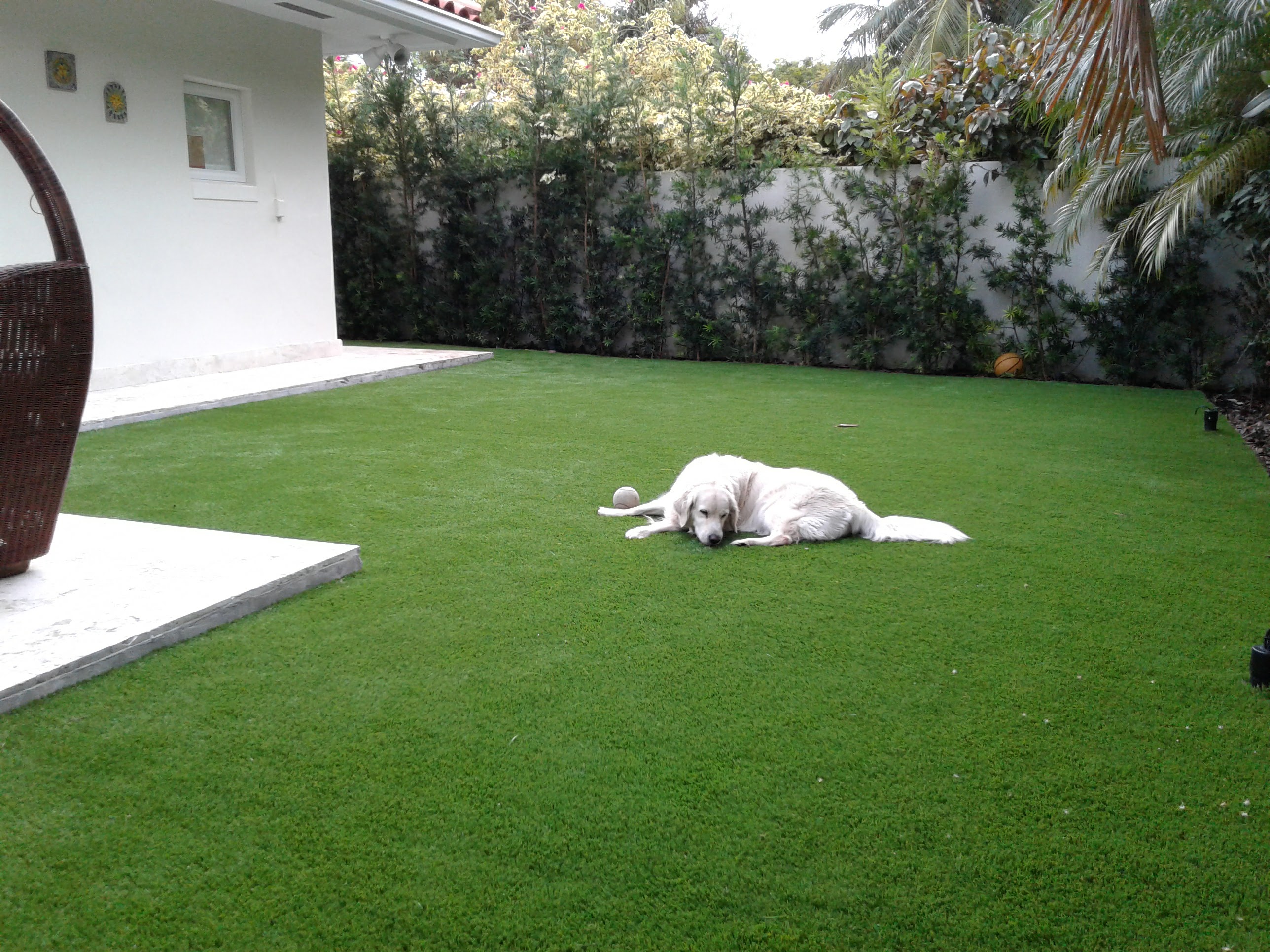 Synthetic K9 Turf 