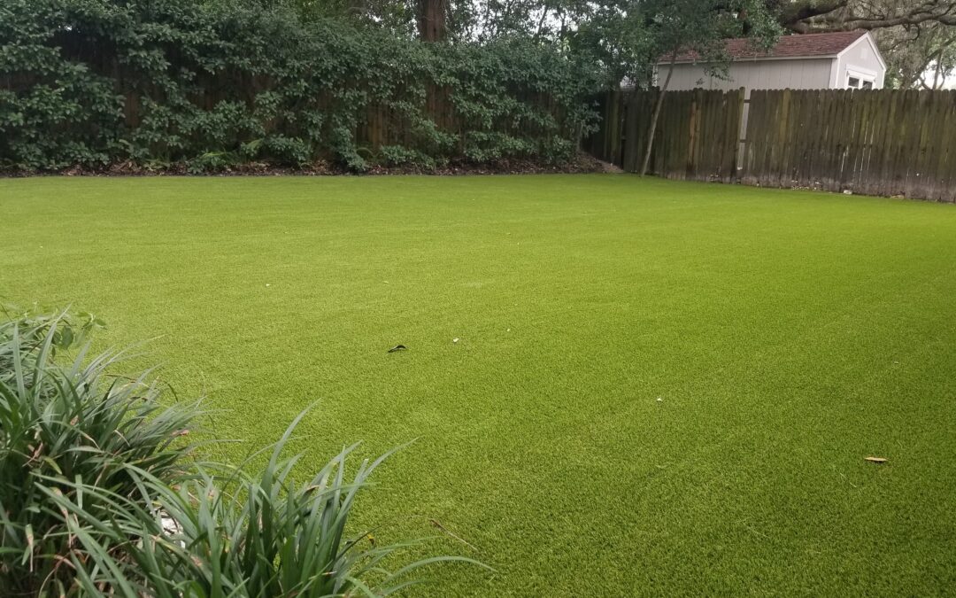 How Artificial Grass Is Changing Landscapes