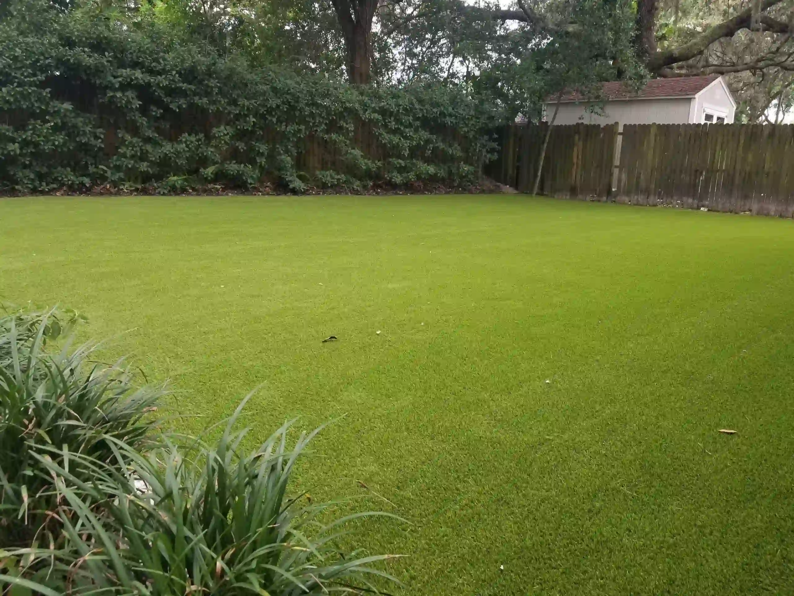 Artificial Grass Installation Artificial Grass Installation